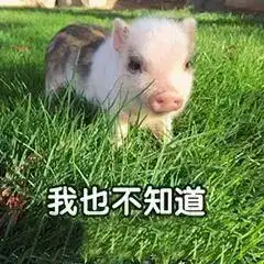 因长期单身内心苦闷就尾随美女猥亵