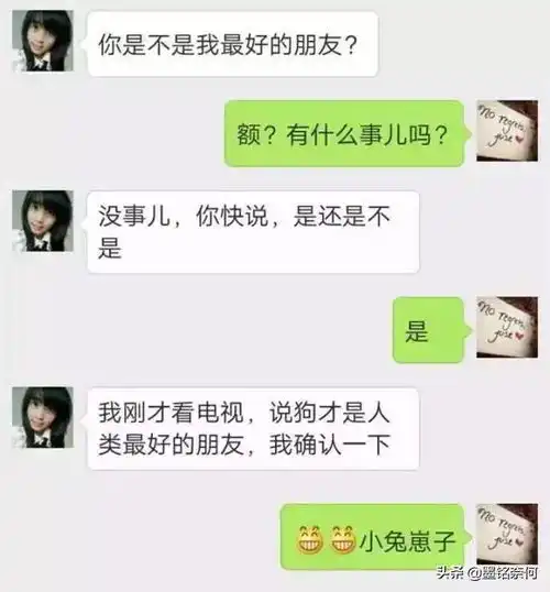 开心笑话女友喝多了,蹲在门口跟我家狗谈人生,结果狗都不理她