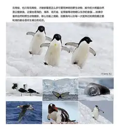 自然探索上海出发南极半岛秘鲁智利玻利维亚22日团队游包机直飞南极半岛告别风浪德雷克海峡极地抗冰邮船oceannova号春节华人包船超长登陆时间天空之城马丘比丘