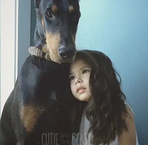 美4岁女孩与爱犬形影不离走红网络
