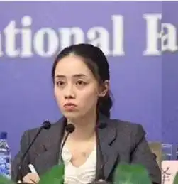 2016两会外交译员颜值又刷新高