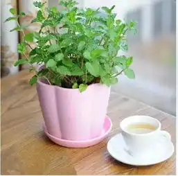 宁波女孩7岁半就来月经,身高难超140cm罪魁祸首竟是家长天天让她吃的