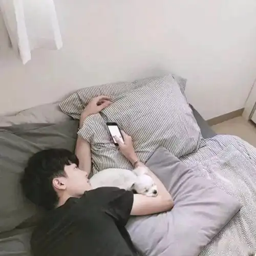 猜你喜欢的微信头像来了