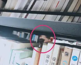 张馨予晒出看书侧脸美照,宽松短袖秒遮孕肚,却被吐槽是摆拍