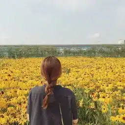 女生背影头像唯美高清2018最新没必要让所有人都喜欢你