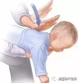 现在都宝宝都用主动进食代替断奶,你家娃做到了吗