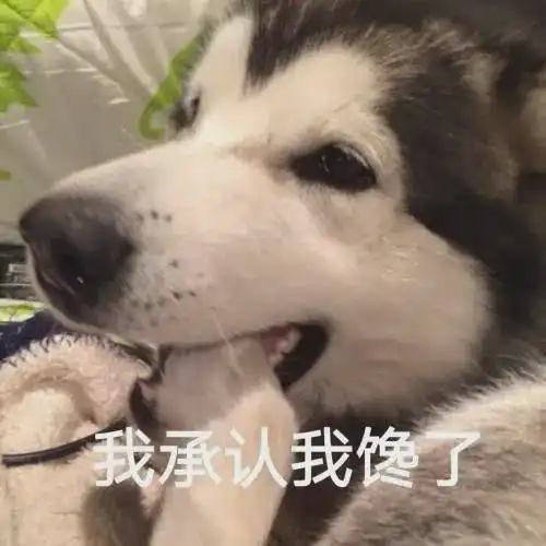 全红婵爸爸等她回家杀鸡庆祝家乡这里的湛江鸡最出名