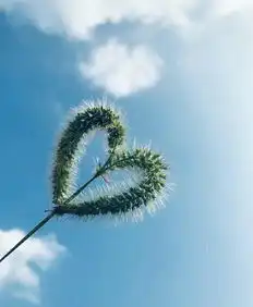 人到中年,没了健康,什么金钱爱情事业前途,通通都没有意义