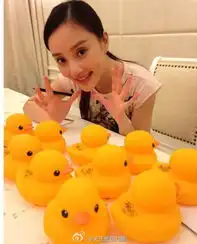 赵丽颖李小璐宋茜女星惊艳的放电卖萌照13