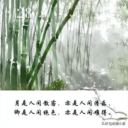 一眼惊艳的古风句子浮世芳华,回首处明月清风,终是袖中云烟