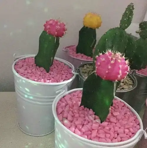 1月2粉色少女锁屏壁纸原图更新自取不谢