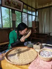 温州人物志朱晓燕半盏清茶,观浮沉人生
