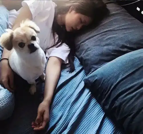 高清无水印女生头像为你续写浪漫