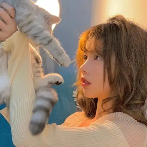 低情商vs高情商句子