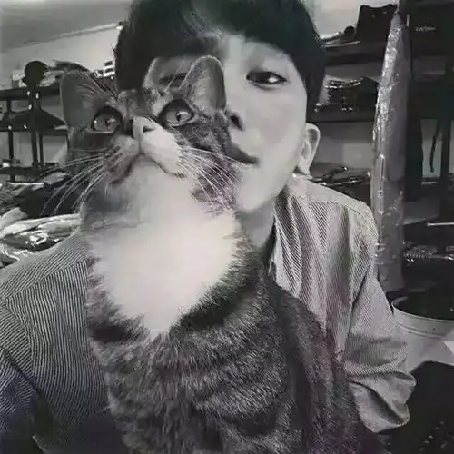 不止表演系,中戏北电上戏18级新生里还有哪些潜力股