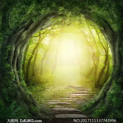 通往神秘小树林的小路摄影高清图片