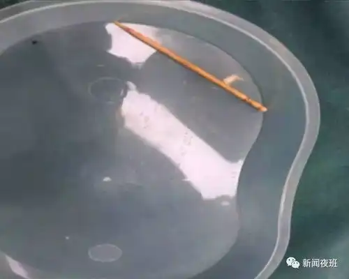 女子腹痛一个月,罪魁祸首竟是这个东西