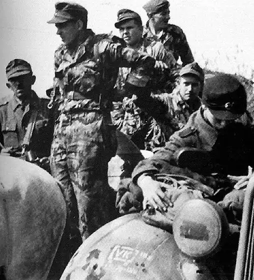 二战德国武装部队迷彩图案历史介绍