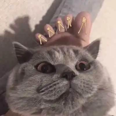 猫头像情侣一左一右