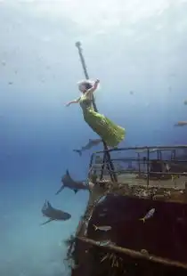 高清澳摄影师海底拍摄美女与鲨鱼等同游合照