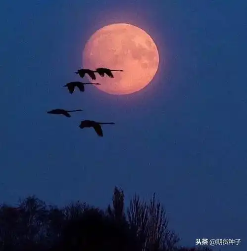 交易是一场修行,且行且珍惜