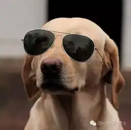 nba球星上篮姿势大pk詹皇六步飞侠梦幻竟都敌不过他