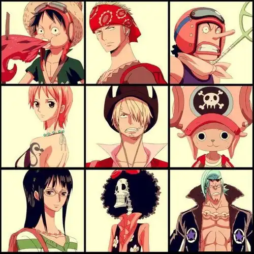 有没有适合四个兄弟的海贼王头像