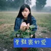 不要轻易让人看到你的软弱文字头像