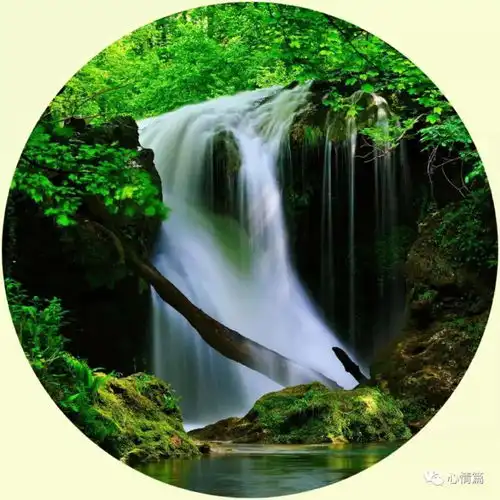 40张人间仙境微信头像