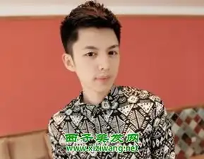 真人示范头发硬的男生发型图片