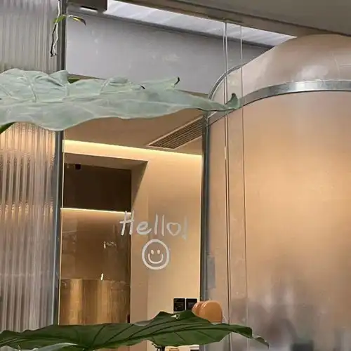 头像壁纸爱不释手