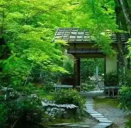 等我老了,想有个小院,甘味余生庭院