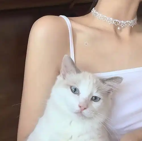 神仙女头一见钟情是你