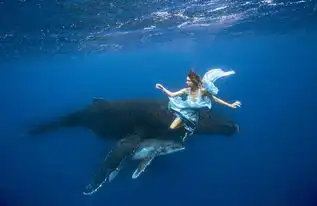 美女与鲨鱼合照好似童话故事