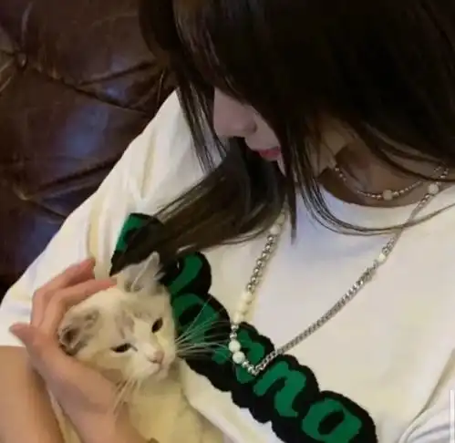ins不露脸女生头像