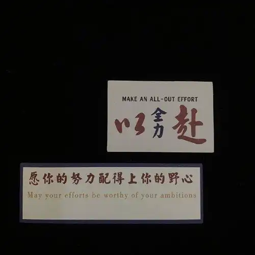 一篇集合种草长草贫民窟女孩必备