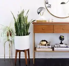 创意盆栽直销创意盆栽直销价格缤纷花卉供