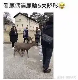 有种秀恩爱叫鹿晗,带女友一起看鹿,穿情侣外套甜炸了