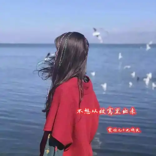 头像女真人背影不再联系