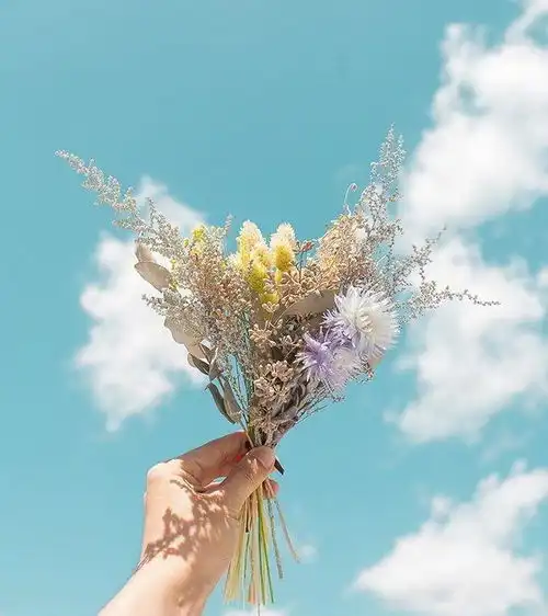 刷爆朋友圈的早安心语,简单干净,人人点赞