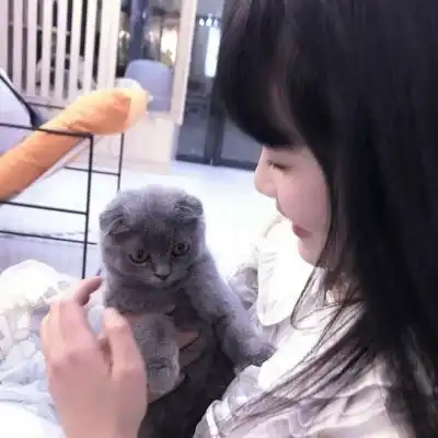 心理咨询师头像图片女饭