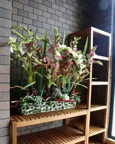 文艺大气小清新客厅阳台装修小技巧