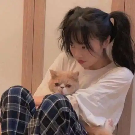 抱猫的女生头像,最新抱猫的高冷女生头像图片