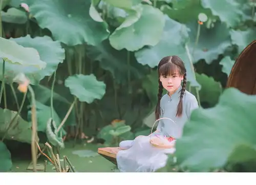 姓名策划李女改名,要求温婉大气