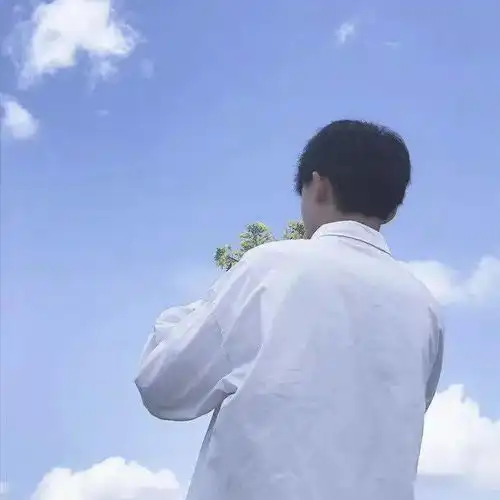 超级好看的情侣头像
