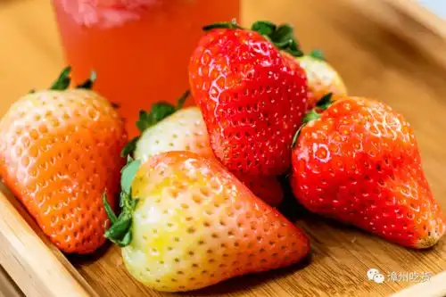 第二杯半价漳州这家喝过一次就念念不忘的人文茶饮,奶茶女孩们又有新宠了