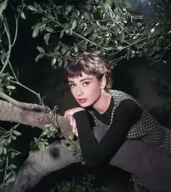 你的真心为什么在女生看来一文不值因为你的方法不对