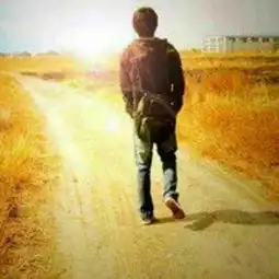 微信小海豚25126551个人中心逐浪小说