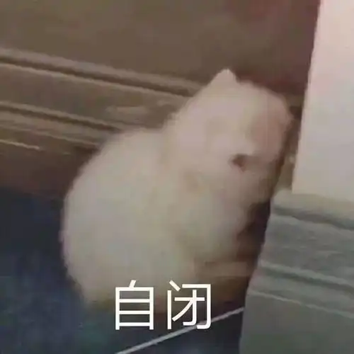 自闭头像女名字