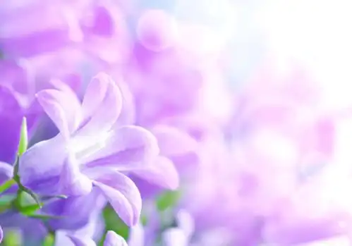 6月底迎来焕然一新,三生肖好运相伴,财富增长,事业顺利